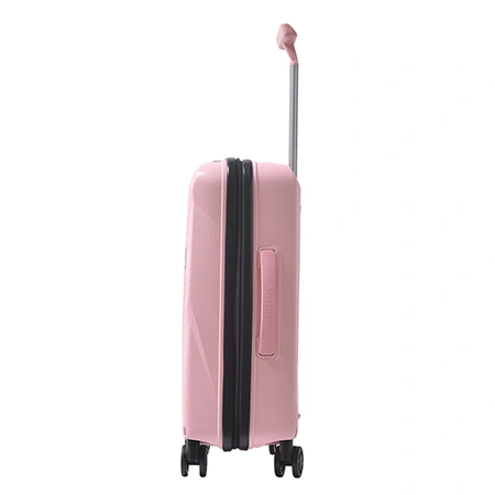 Check-In Luggage