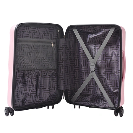 Check-In Luggage