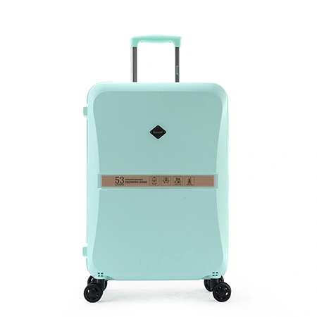 Check-In Luggage