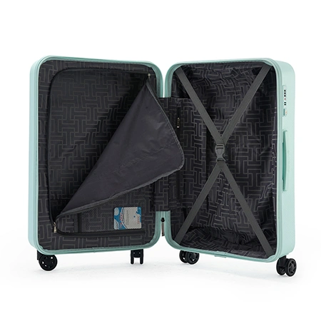 Check-In Luggage
