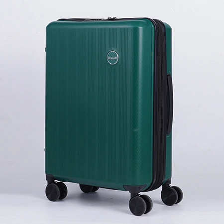 Check-In Luggage