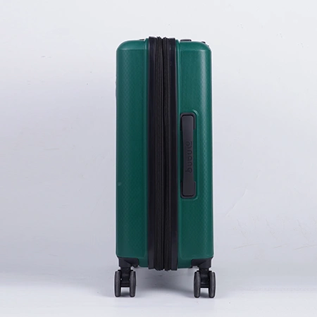 Check-In Luggage