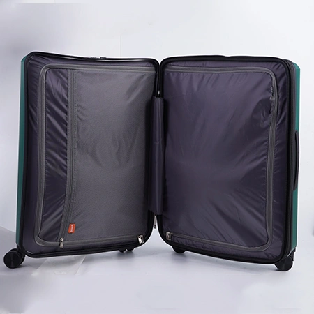 Check-In Luggage