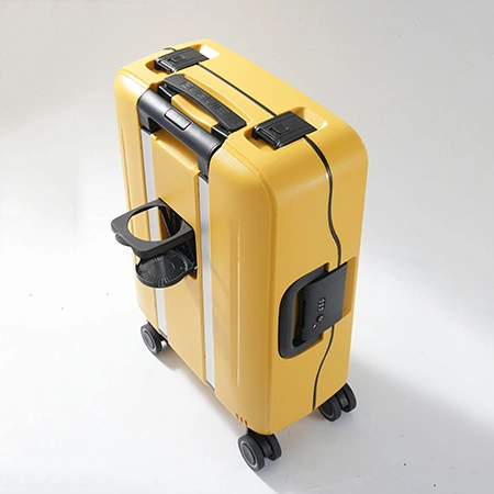 Check-In Luggage