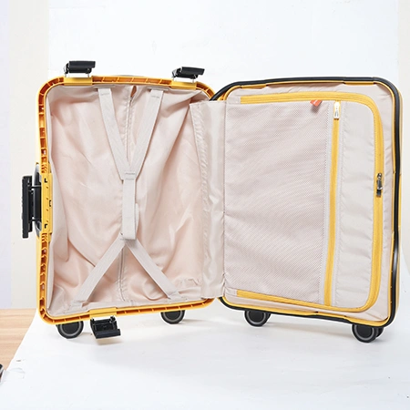 Check-In Luggage