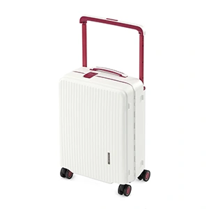 Check-In Luggage