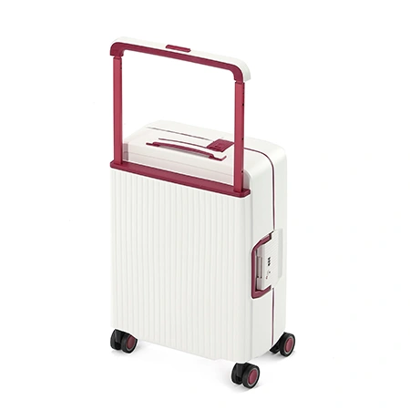Check-In Luggage