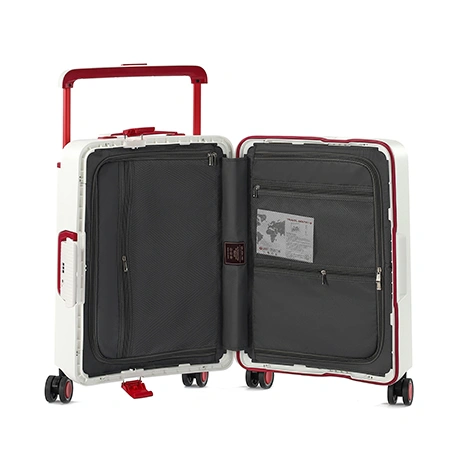 Check-In Luggage