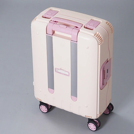 Check-In Luggage
