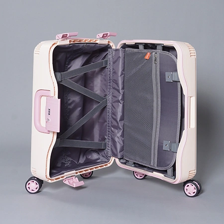 Check-In Luggage