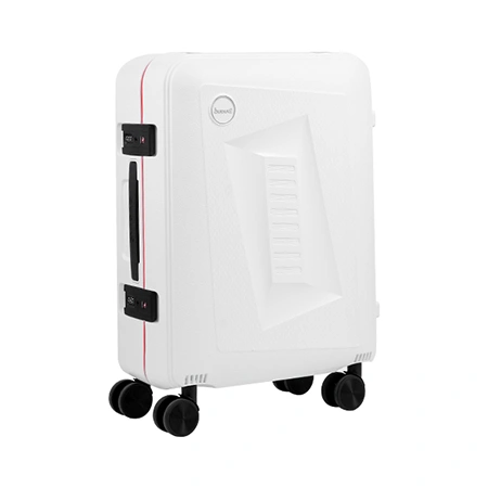 Check-In Luggage