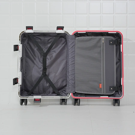 Check-In Luggage