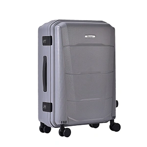 Check-In Luggage