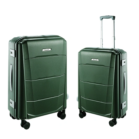 Check-In Luggage