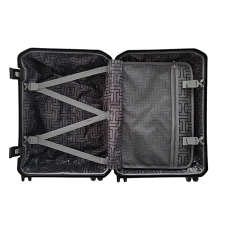 Check-In Luggage