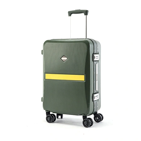 Check-In Luggage