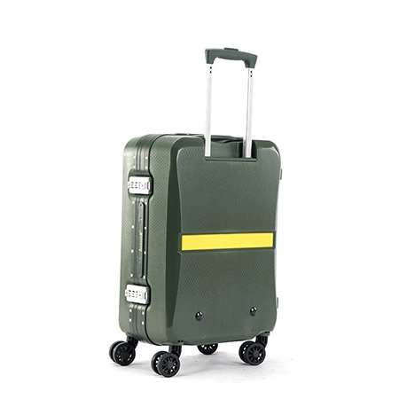 Check-In Luggage