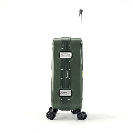 Check-In Luggage