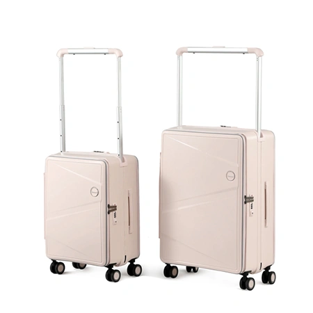 Check-In Luggage