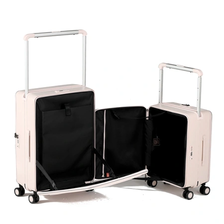 Check-In Luggage