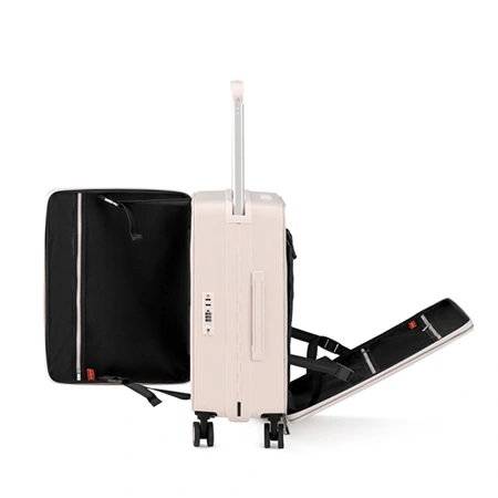 Check-In Luggage