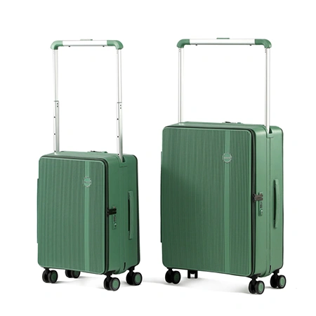 Check-In Luggage