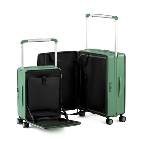 Check-In Luggage