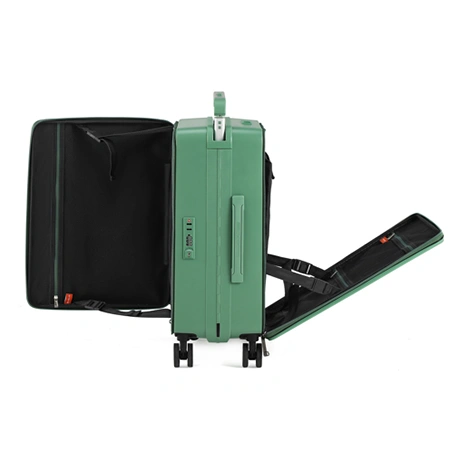 Check-In Luggage