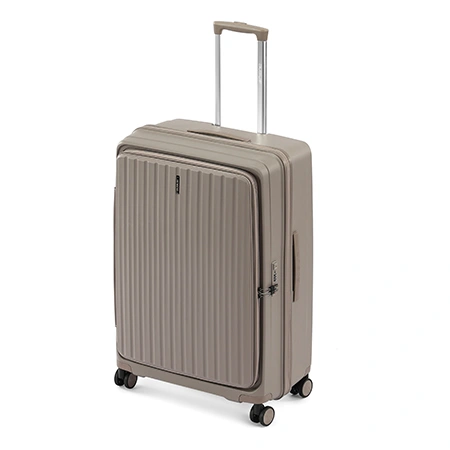 Check-In Luggage