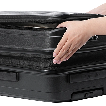 Check-In Luggage
