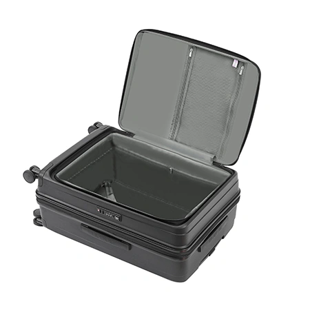 Check-In Luggage