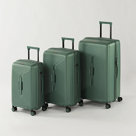 Check-In Luggage
