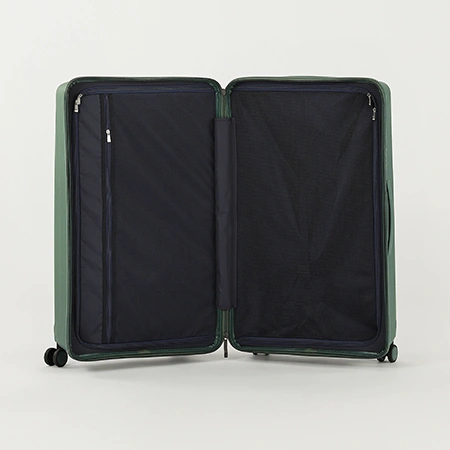 Check-In Luggage