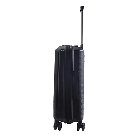 Check-In Luggage
