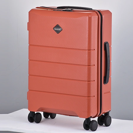Check-In Luggage