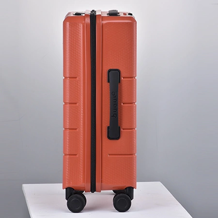 Check-In Luggage