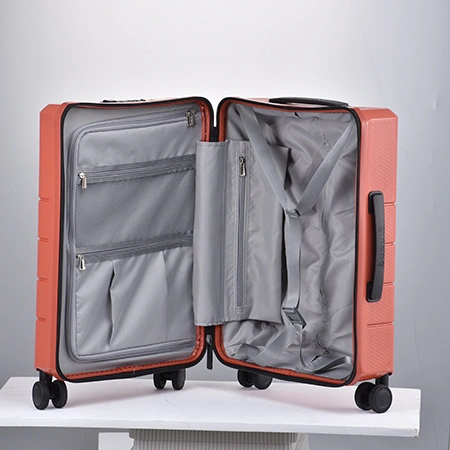 Check-In Luggage