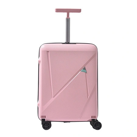 Check-In Luggage