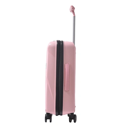 Check-In Luggage