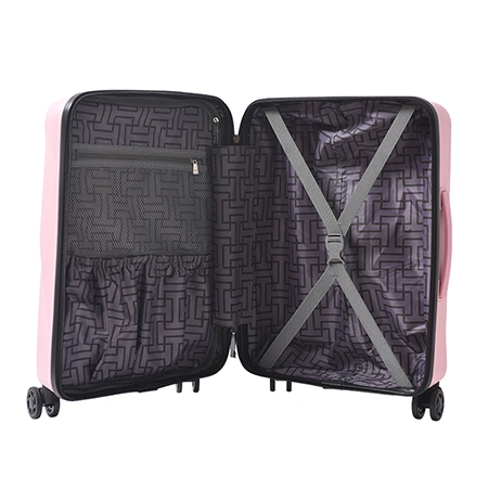 Check-In Luggage