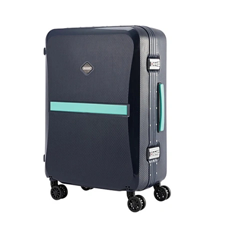 Check-In Luggage