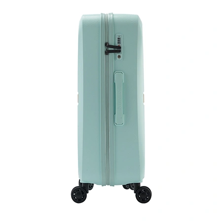 Check-In Luggage