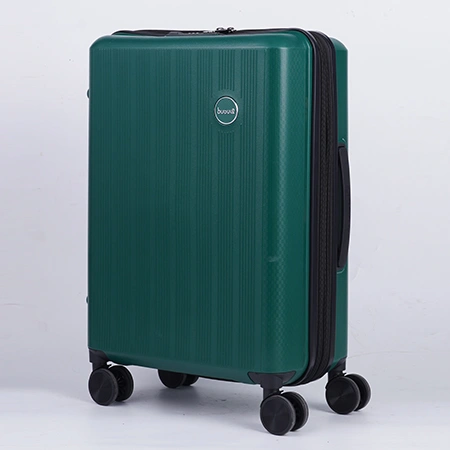 Check-In Luggage