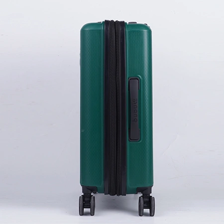 Check-In Luggage