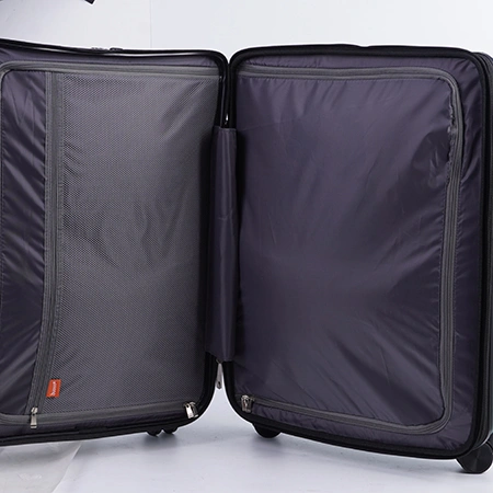 Check-In Luggage