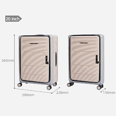 Check-In Luggage