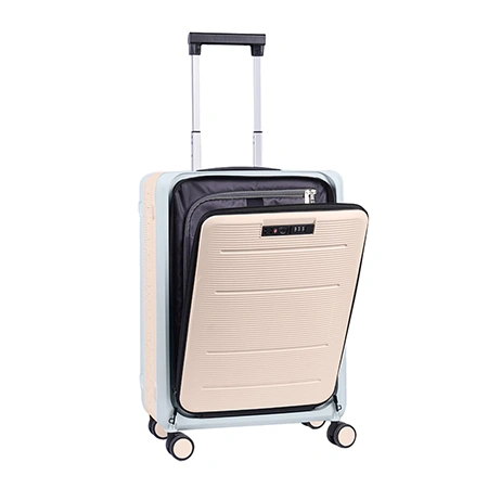 Check-In Luggage