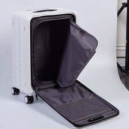 Check-In Luggage