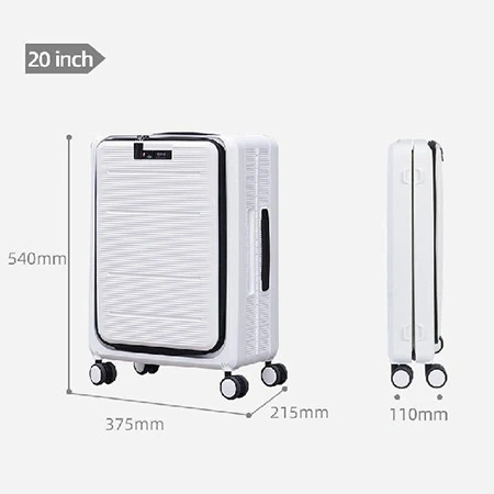 Check-In Luggage