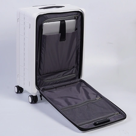Check-In Luggage